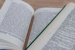 易翻译在教育场景的多种玩法，易道翻译软件-易翻译官网