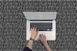 Word文档一键翻译：轻松打破语言障碍，提升工作效率-易翻译官网